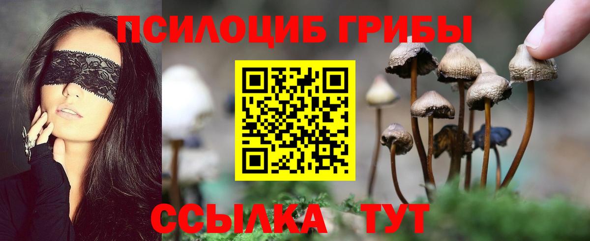 Ессентуки  Галлюциногенные грибы Psilocybine cubensis  Галлюциногенные грибы Magic Shrooms  Вход с VPN 