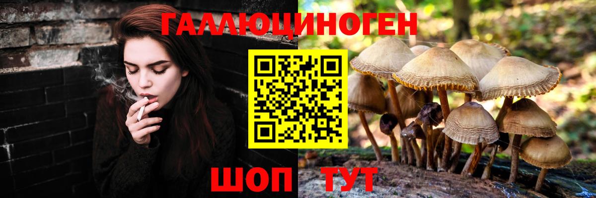 Галлюциногенные грибы ЛСД Ессентуки