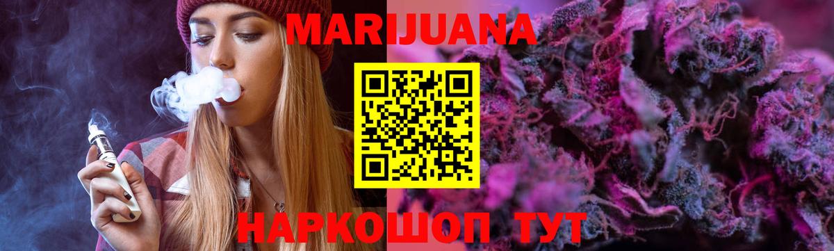 Канабис сатива Ессентуки